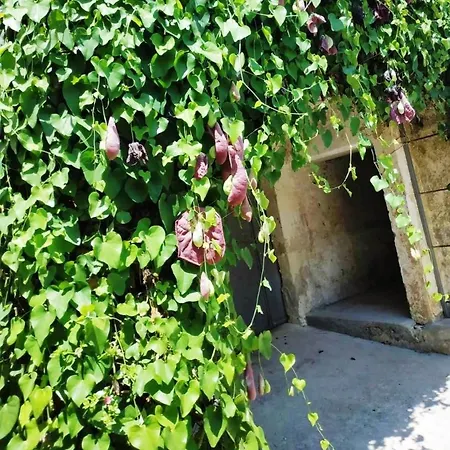Antica Dimora Guesthouse, Salento, *