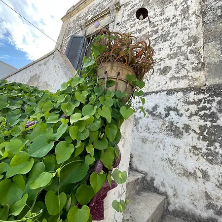 Holiday home Antica Dimora Guesthouse, Salento,